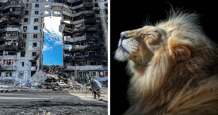 International Photo Awards 2023: Curator’s Highlights (13 Pics)