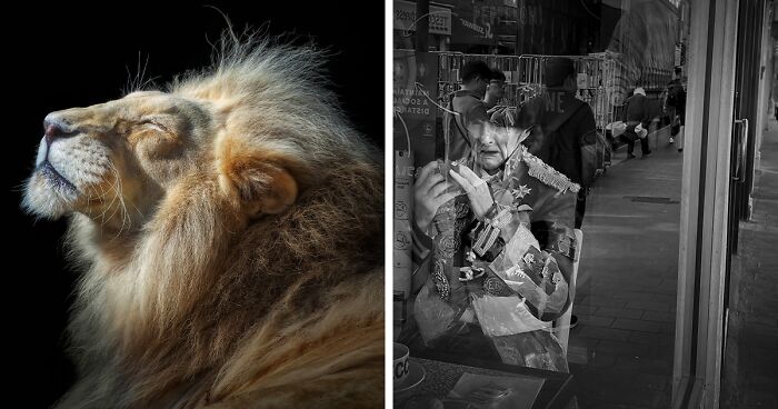 International Photo Awards 2023: Curator’s Highlights (13 Pics)