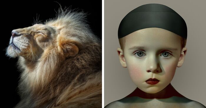 International Photo Awards 2023: Curator’s Highlights (13 Pics)