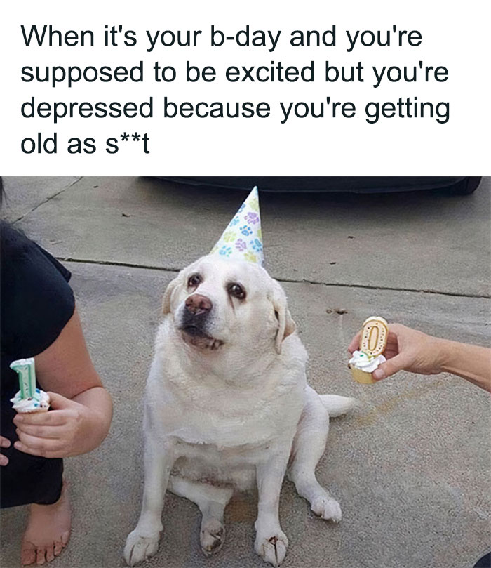 A chubby Labrador wearing a party hat, looking slightly sad, with the caption "When it's your b-day and you're supposed to be excited but you're depressed because you're getting old as s**t."