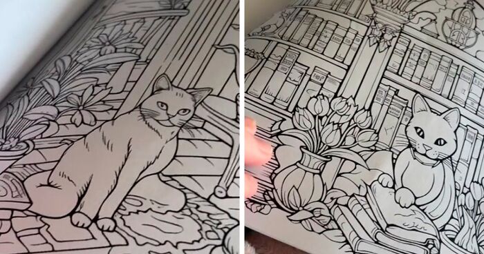 Woman Buys A Cheap Coloring Book Online, Can’t Stop Laughing At The Weirdly Deformed Cat Drawings