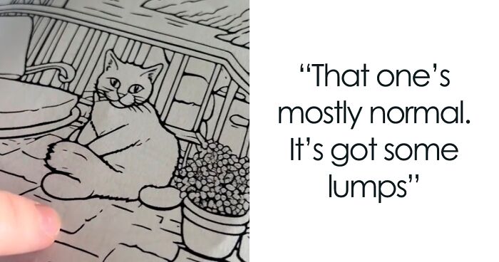 Woman Thinks She Bought A “Normal” Kitty Coloring Book, Starts Noticing Odd Things About It