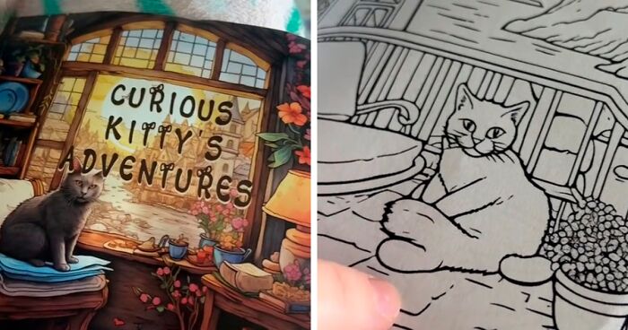 Woman Shows Hilariously Bad Coloring Book Featuring AI-Generated Cats