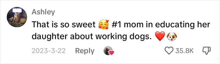 Netizens Have Their Hearts Melt As This Mom Wholesomely Stops Her Girl From Petting Service Dog