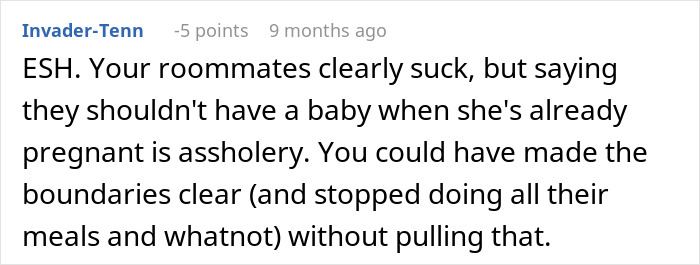 Pregnant Woman Assumes Her Roommate Will Help Her Raise Her Baby, Gets A Reality Check