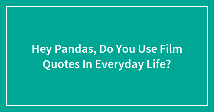 Hey Pandas, Do You Use Film Quotes In Everyday Life?