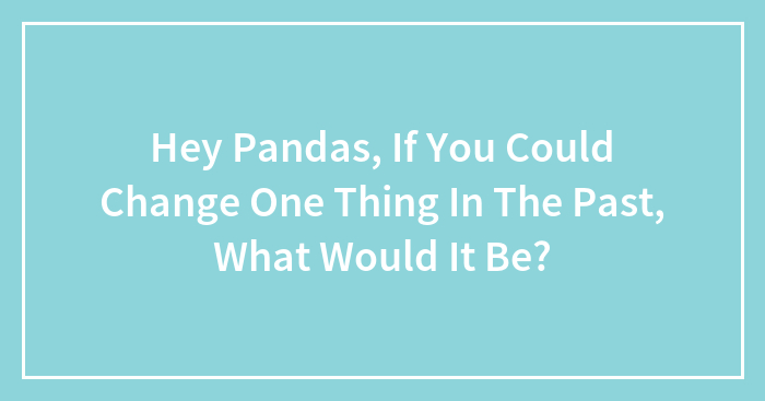 Hey Pandas, If You Could Change One Thing In The Past, What Would It Be? (Closed)