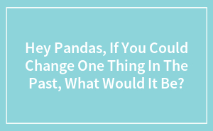 Hey Pandas, If You Could Change One Thing In The Past, What Would It Be?