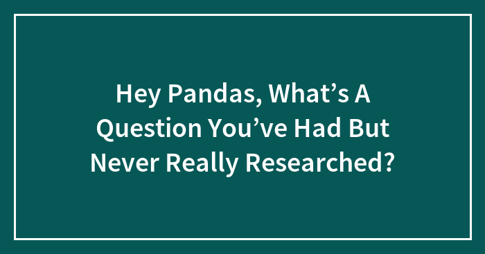 Hey Pandas, What’s A Question You’ve Had But Never Really Researched? (Closed)