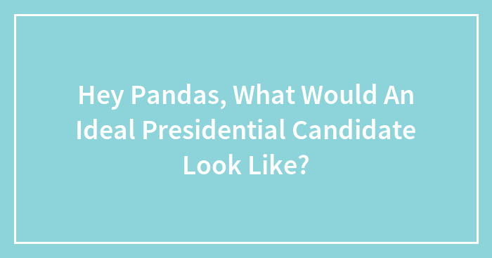 Hey Pandas, What Would An Ideal Presidential Candidate Look Like? (Closed)