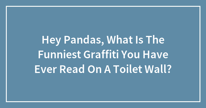 Hey Pandas, What Is The Funniest Graffiti You Have Ever Read On A Toilet Wall?