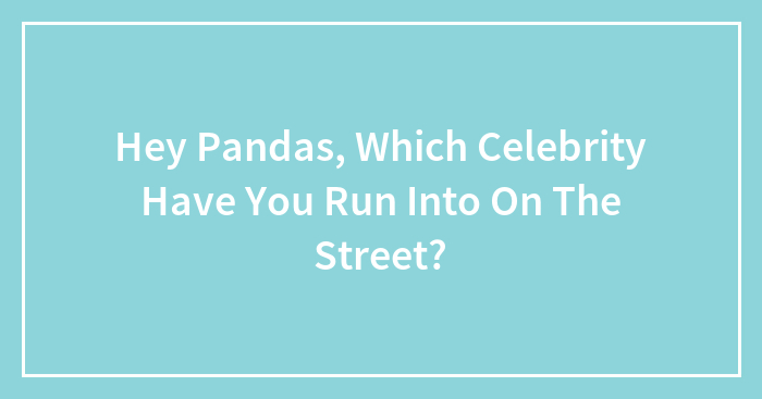 Hey Pandas, Which Celebrity Have You Run Into On The Street? (Closed)
