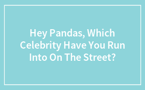 Hey Pandas, Which Celebrity Have You Run Into On The Street?