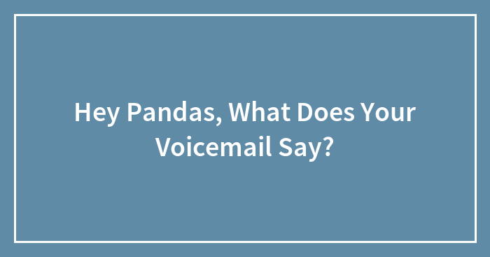 Hey Pandas, What Does Your Voicemail Say?