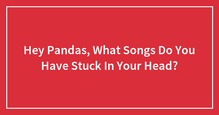 Hey Pandas, What Songs Do You Have Stuck In Your Head?
