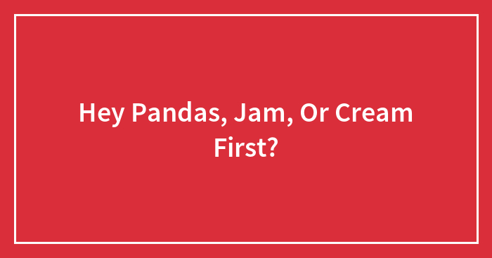 Hey Pandas, Jam, Or Cream First?