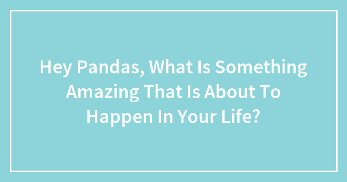Hey Pandas, What Is Something Amazing That Is About To Happen In Your Life? (Closed)