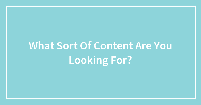 Hey Pandas, What Sort Of Content Are You Looking For?