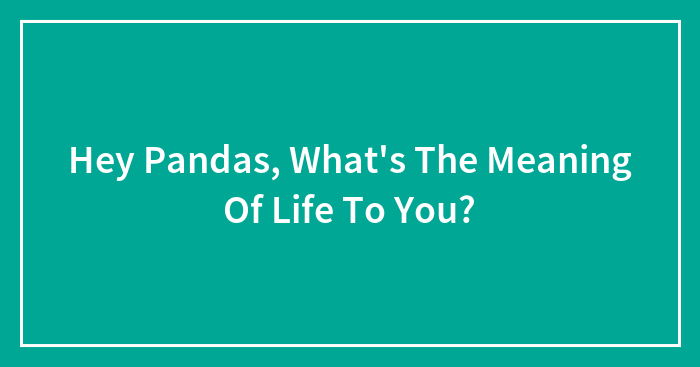 Hey Pandas, What’s The Meaning Of Life To You? (Closed)