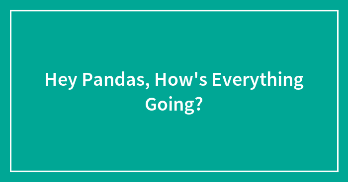 Hey Pandas, How’s Everything Going? (Closed)