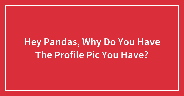 Hey Pandas, Why Did You Choose The Profile Picture You Currently Have? (Closed)