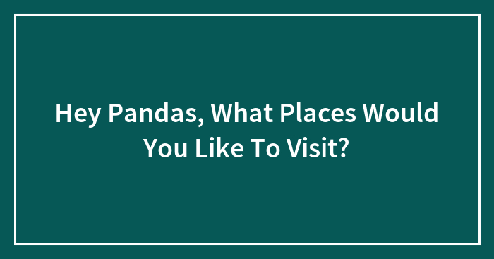 Hey Pandas, What Places Would You Like To Visit?