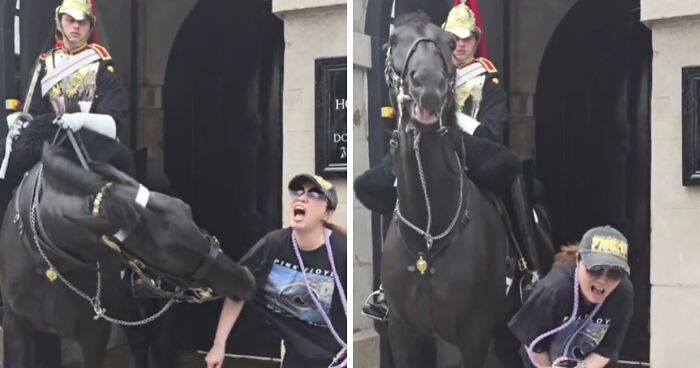 Tourist Bitten By King’s Guard Horse After Ignoring Warnings And Getting Too Close