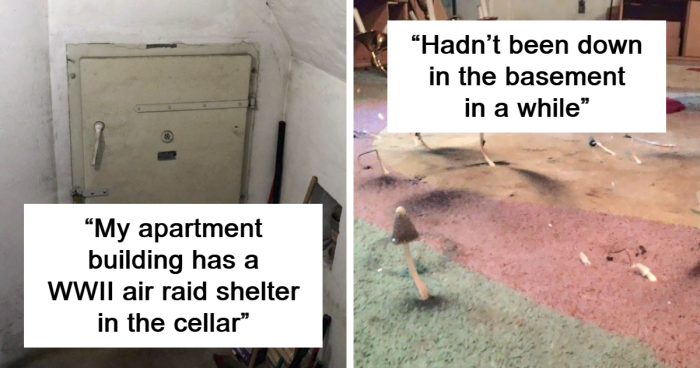 96 Blood-Draining Photos That Will Make You Want To Go To Your Basement Even Less