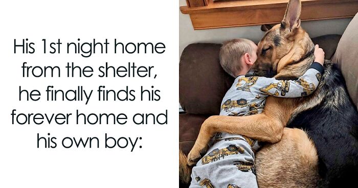 88 Funny Memes That Emanate The Feelings Of 'I'd Rather Be With My Dog'