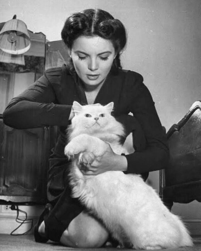 76 Vintage Photos Of Cats Posing With Famous People And Interesting Personalities (New Pics)