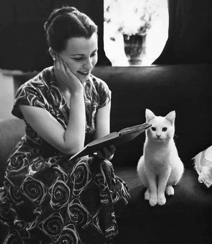 76 Vintage Photos Of Cats Posing With Famous People And Interesting Personalities (New Pics)