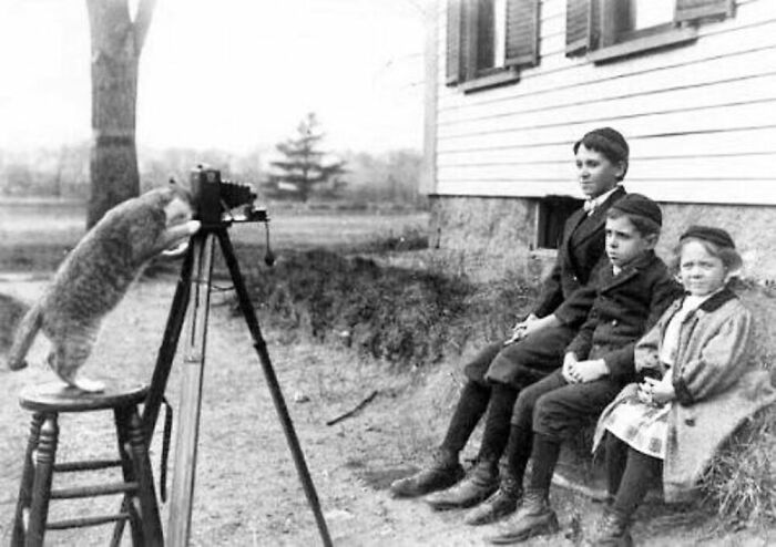 76 Vintage Photos Of Cats Posing With Famous People And Interesting Personalities (New Pics)