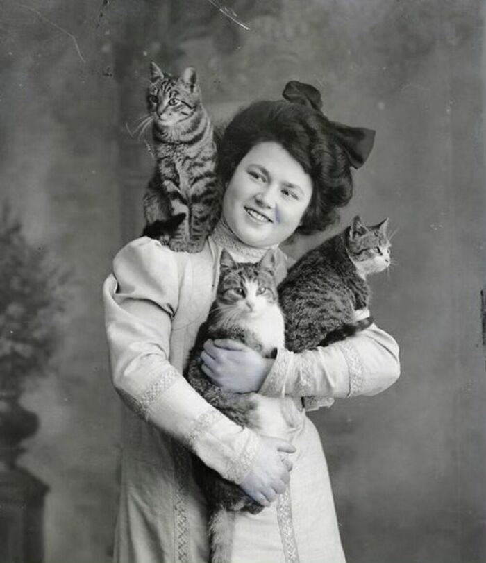 76 Vintage Photos Of Cats Posing With Famous People And Interesting Personalities (New Pics)