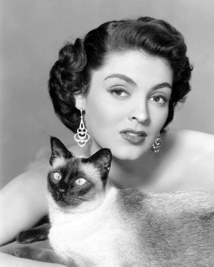 76 Vintage Photos Of Cats Posing With Famous People And Interesting Personalities (New Pics)