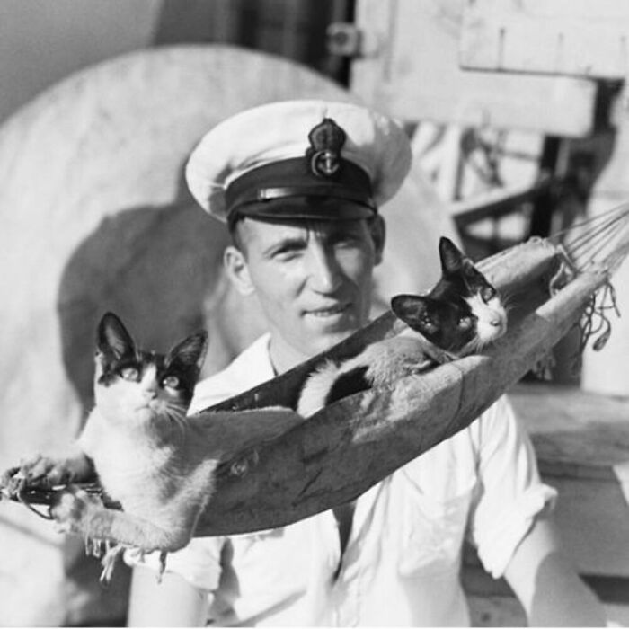 76 Vintage Photos Of Cats Posing With Famous People And Interesting Personalities (New Pics)