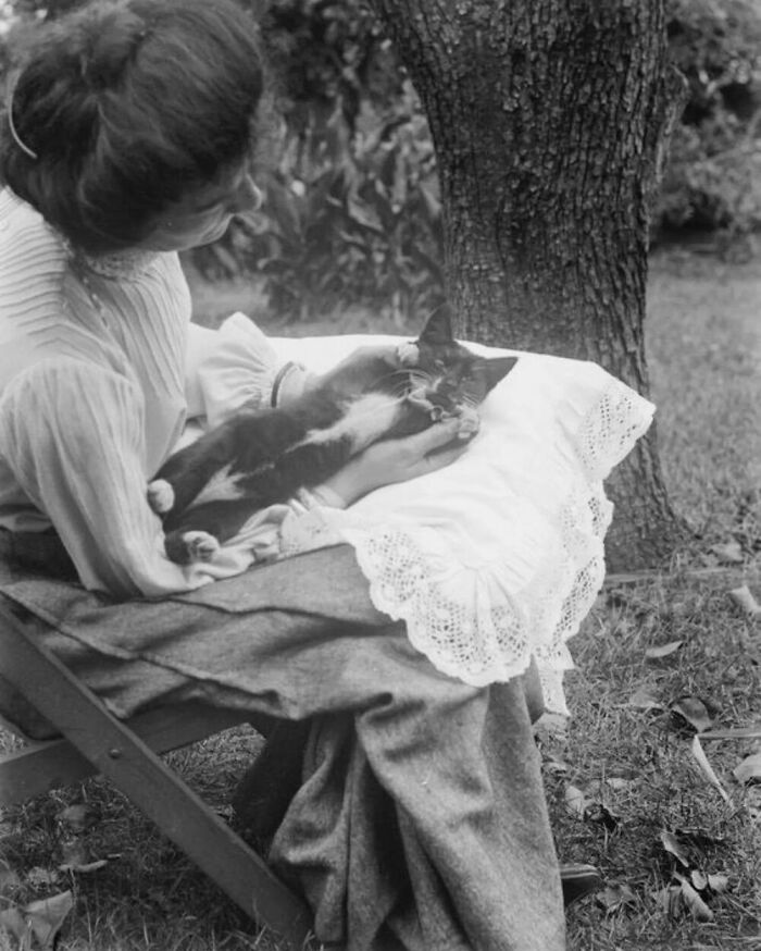 76 Vintage Photos Of Cats Posing With Famous People And Interesting Personalities (New Pics)