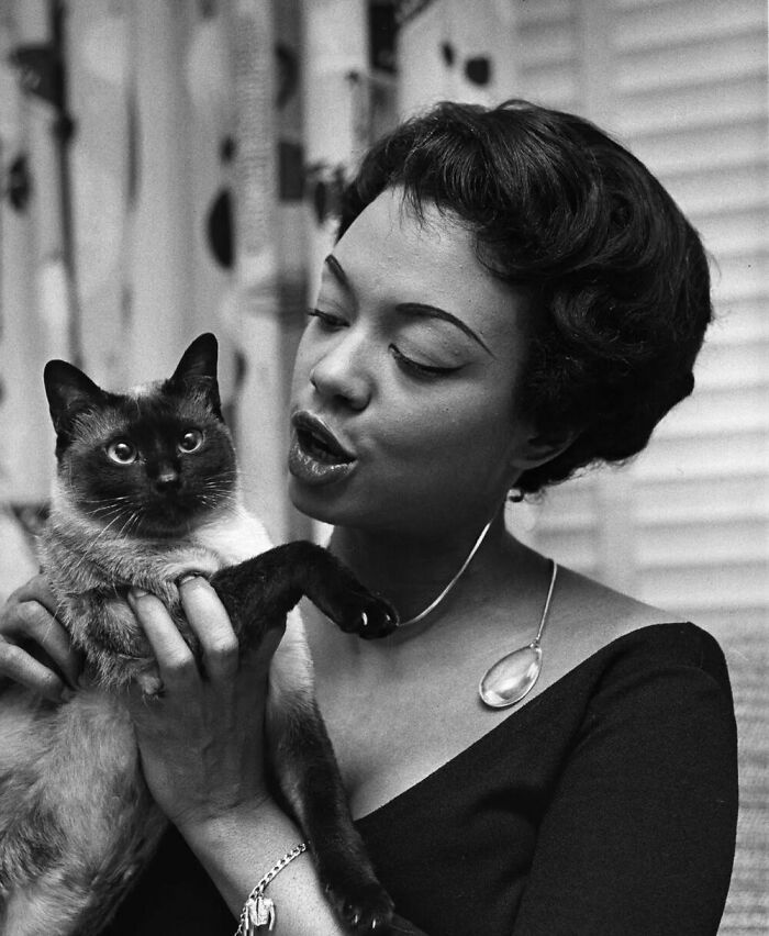 76 Vintage Photos Of Cats Posing With Famous People And Interesting Personalities (New Pics)