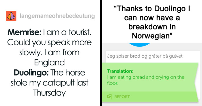 81 Funny Memes That Perfectly Sum Up How Scared We All Are Of The Duolingo Owl