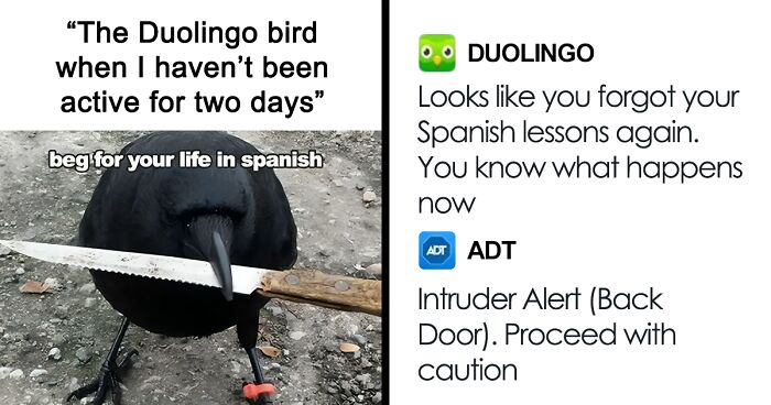 81 Funny Duolingo Memes That Perfectly Illustrate What It's Like Learning A Language On The App