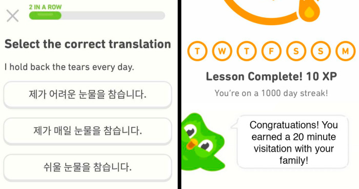 81 Funny Duolingo Memes To Scroll Through Before You Lose Your Streak