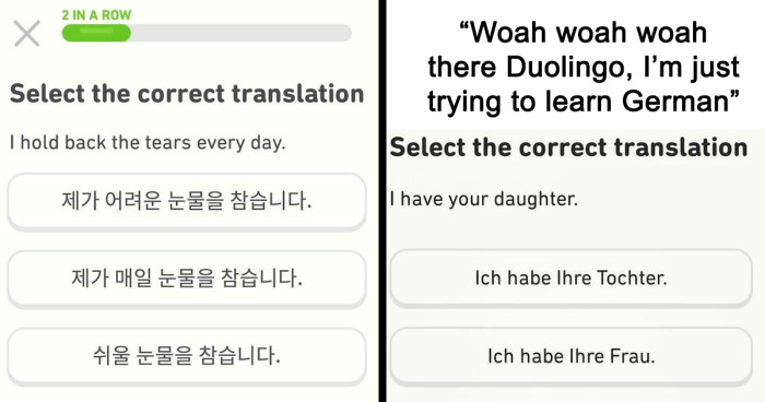 81 Funny Duolingo Memes That Might Inspire You To Pick Up Learning A New Language