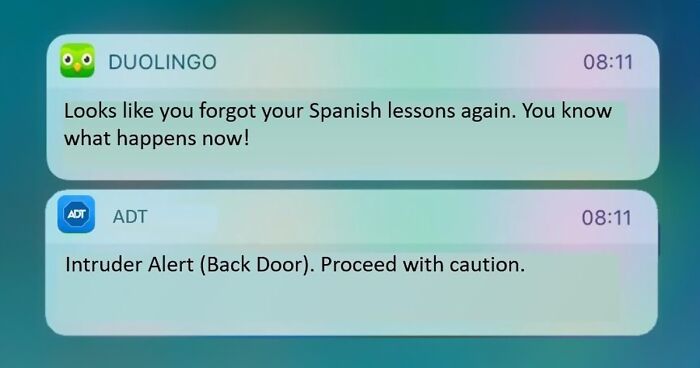 81 Funny And Evil Duolingo Memes To Laugh At Instead Of Learning A New Language