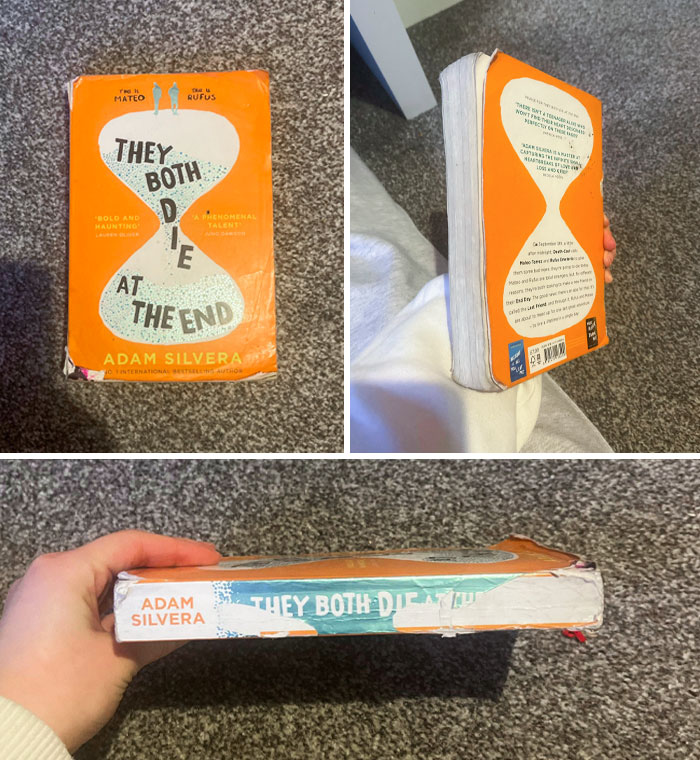 Let My Sister Borrow One Of My Favorite Books In Near-Perfect Condition. This Is How I Got It Back