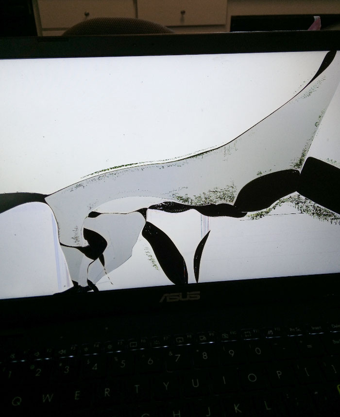 Sister Got Mad And Threw My Laptop