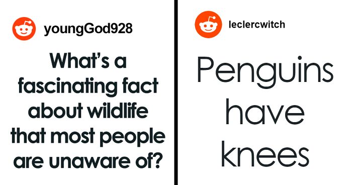 People Shared 67 Fascinating And Disturbing Wildlife Facts That Not A Lot Of People Know