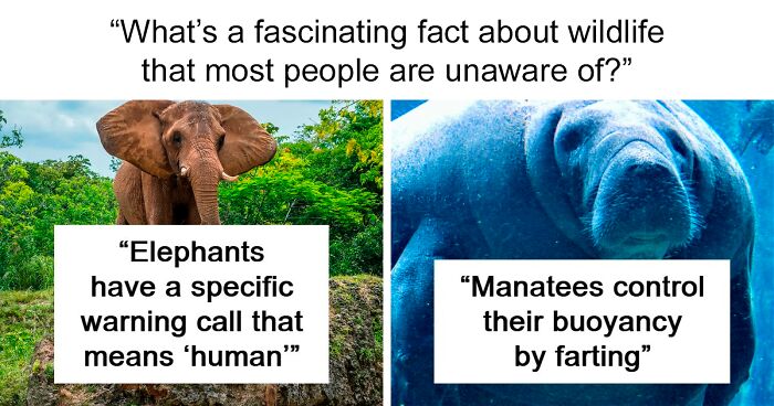 Person Asks People To Share The Most Fascinating Facts About Wildlife, And 67 Deliver