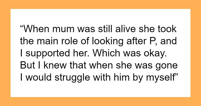 30YO Is Exhausted By Caring For Disabled Brother, Wants To Send Him Away To A Home