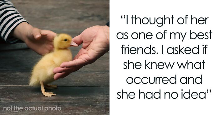 Wife Forces Husband To Choose Her Or Best Friend’s Wedding After Ducks Pass Away In Their Care