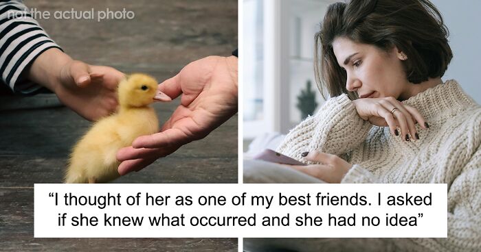 Woman Banned From Wedding After Her Ducks Die Under Friend's Watch, She Gives Hubby An Ultimatum