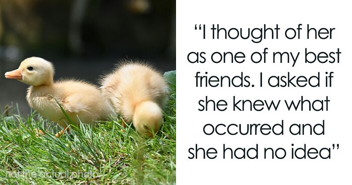 Uninvited: Duck Tragedy Leaves Man Debating Whether To Stick With Wife Or Support His Friend